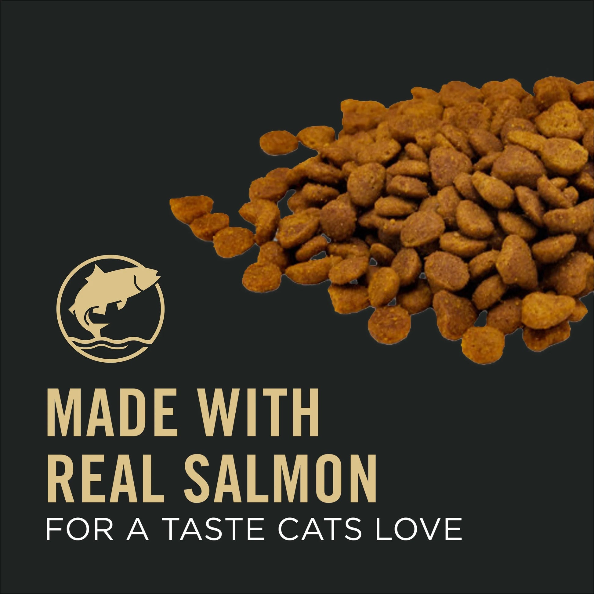 Vital Systemsdry Cat Food, Salmon & Rice, 5 Lb Bag